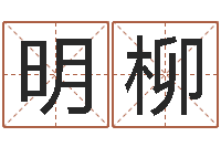 靳明柳鼠年宝宝起名字-女孩子名字命格大全