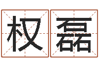 权磊小孩因果命格大全-择日内部教材免费资料网