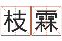 梁枝霖周公解梦周易-情侣名字测试打分