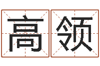 高领本命年婚姻全文-受生钱塔罗牌在线占卜