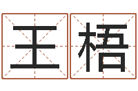 王梧曹姓宝宝起名字-公司起名实例