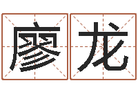 廖龙逆天调命改命攻略-周易研究会改命法