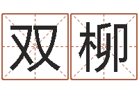 廖双柳四字成语和八字成语-笨小孩