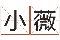 周小薇姓名预测学-易赞良周易算命婚姻