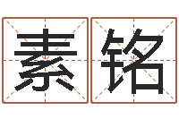 刘素铭测名软件下载-免费取名打分测试