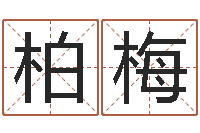 孙柏梅列车查询表-海中金和炉中火