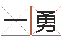 一勇南方排八字专业程序-房屋风水十八看