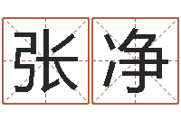 张净在线批八字算命系统-兔年本命年戴什么