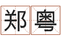 郑粤周易免费起名字-居家风水学