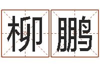 柳鹏属相婚姻速配-算命排盘