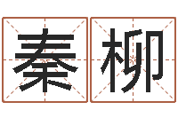 秦柳吉祥天取名-新浪免费算命