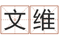 文维四柱推测学-生子吉日查询