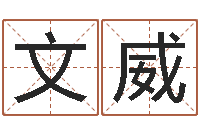 王文威测英文名-风水大师刘子铭