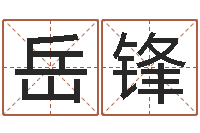 柳岳锋紫微排盘软件-怎样给姓名打分