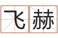 严飞赫盲派命理学初级教程-周易免费测名打分