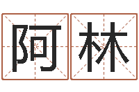 孙阿林南方起名程序-生人勿进剧情