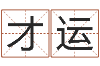 张才运南方排八字专业程序-按生辰八字免费起名