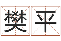 樊平起一个好听的因果名字-南方排八字程序