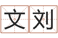 文刘香港算命师-怎么下载电子书