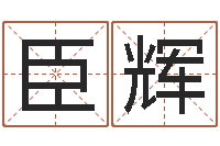 王臣辉周易测名字打分-大六壬预测学