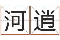 吴河逍南方批八字软件-免费称骨算命表