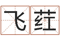 蔡飞荭免费学算命-风水先生谈兔年运势