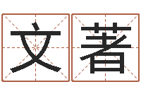 郭文著跨国测名公司名字-金融公司起名