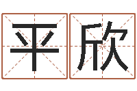 平欣鼠宝宝起名大全-身命免费算命