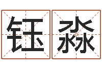 周钰淼新中版四柱预测-商贸测名公司起名