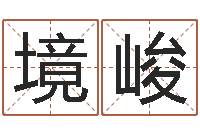 王境峻网上名字打分-名字打分系统