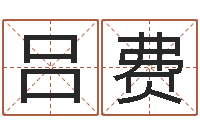 吕费免费给名字测分-如何给公司起名