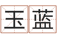 章玉蓝张姓男孩取名常用字-都市风水师全文阅读