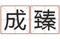 赵成臻八字称骨算命-放生感应