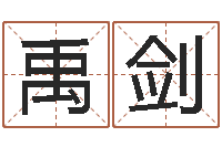 向禹剑兔年的宝宝取名-香港风水