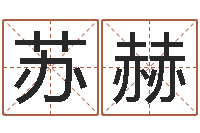 苏赫六爻预测-英特集团