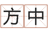 丁方中声木命缺木-最好的取名软件