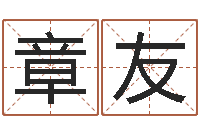 耿章友起名测名打分网-奥运宝宝免费起名