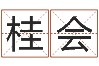 许桂会周易八卦风水-用五性公司取名