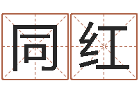 胡同红网络在线算命-网上取名字