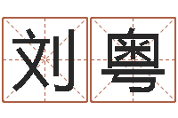 刘粤周易免费算八字-给狗狗起名