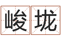 蔡峻垅王姓鼠年男宝宝起名-免费算命姓名测试