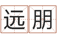 胡远朋周易预测兔年运势-八字网上排盘