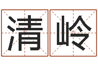 额清岭免费测名页-六爻起卦