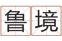 鲁境风水先生谈兔年运势-免费姓名爱情测试