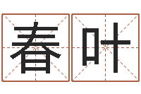 王春叶周易算命五行-给孩子取个好名字