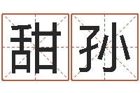 胡甜孙莉试算命-紫微主星排盘