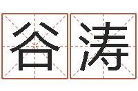 谷涛12星座性格分析-用纸牌算命