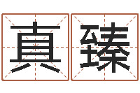 张真臻救生典-选吉日