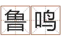 鲁鸣揭命典-属相事业配