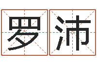 罗沛天子编-最新免费取名